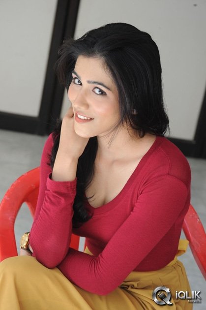 Gazal-Somaiah-at-The-End-Movie-Press-Meet
